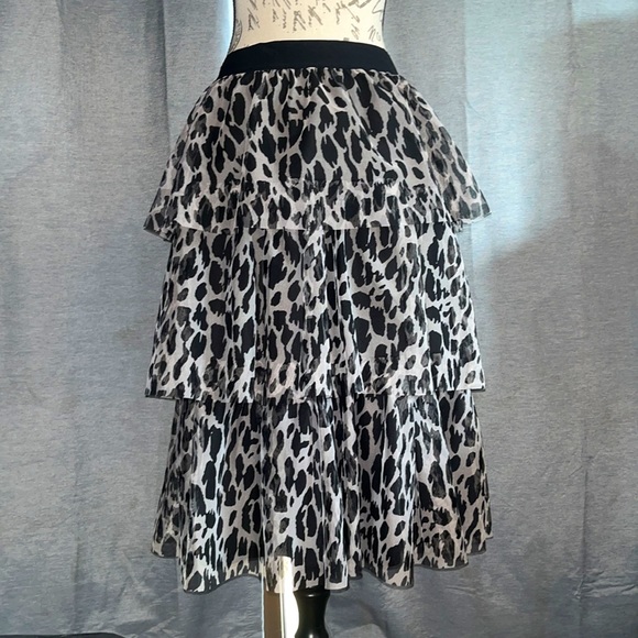 Cato - Picture 2 of 3